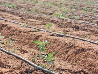 Farming for the next generation