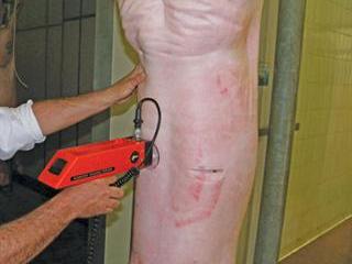 CLA supplementation for healthier pork CLA supplementation for healthier pork