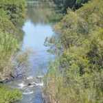 fwa2012516141133.jpg