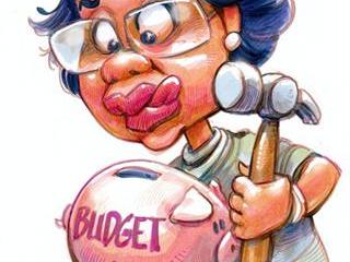 Agriculture budget speech
