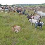 fwa20125816537.jpg