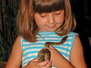 The ssssssecrets  of Ophidiophobia