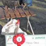 fwa201262914117.jpg