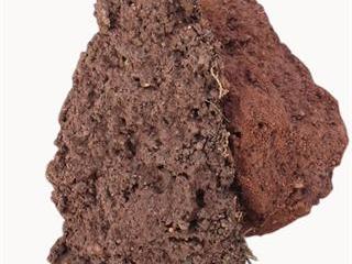 Better soil means healthier plants Better soil means healthier plants