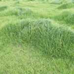 fwa201265102327.jpg