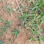 fwa201265125154.jpg