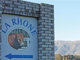 Breeding Limousins for Southern Africa Breeding Limousins for Southern Africa