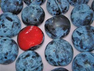 Bigger, sweeter fruit cultivars Bigger, sweeter fruit cultivars
