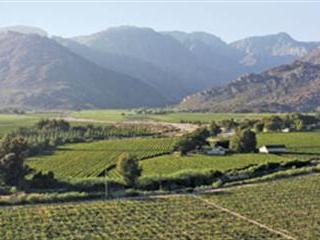 Grape exports to US set to increase, thanks to new irradiation system Grape exports to US set to increase, thanks to new irradiation system