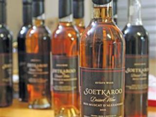 Karoo small-scale wine producer excels