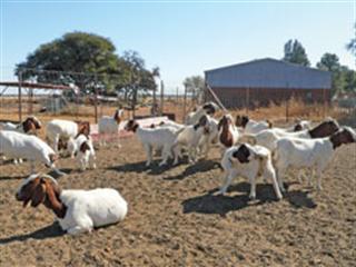 A life of farming, and service