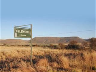 The legacy of the Wellwood Merino stud