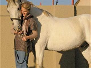 Connect with your horse Connect with your horse
