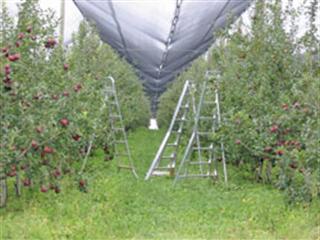 Making headway in a regulated environment Making headway in a regulated environment