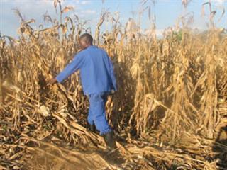 Harvesting correctly Harvesting correctly