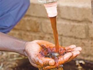 Farming today to ensure  food for the future