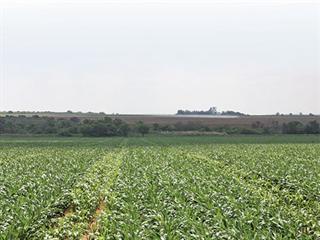 Best practice for nitrogen applications Best practice for nitrogen applications