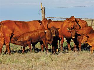 Want to run a farm? Save successfully Want to run a farm? Save successfully