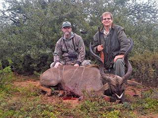 Small kudu. Big problem? Small kudu. Big problem?