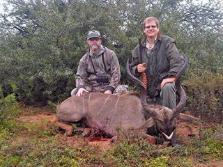 Small kudu. Big problem?