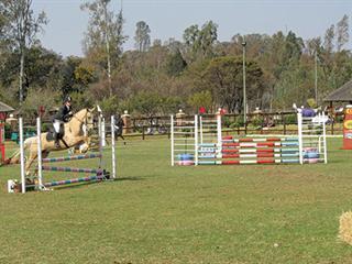 Horse riding for your school