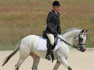 Is all bran bad for horses? Is all bran bad for horses?