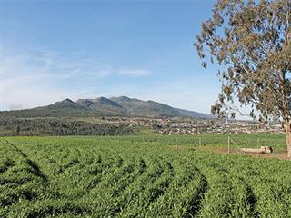 SA’s top barley producer trusts crop rotation SA’s top barley producer trusts crop rotation