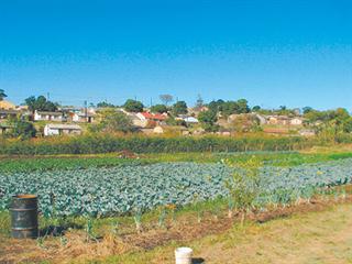 Fertilising with manure