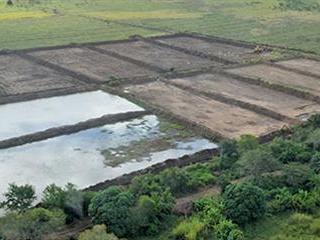 Aquaculture ponds need careful planning.