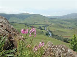 Communities benefit from forestry enterprise Communities benefit from forestry enterprise