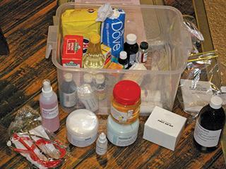 Monitoring your horses basic health Monitoring your horses basic health