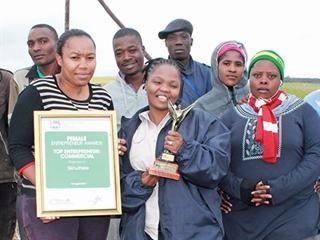 Commercial farming success for newcomer Commercial farming success for newcomer