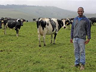Sifiso’s journey Sifiso’s journey
