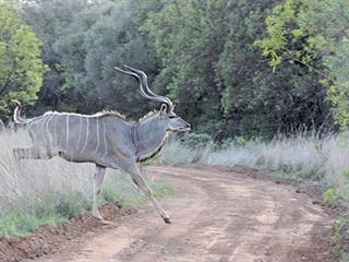 From cattle farm to game paradise From cattle farm to game paradise