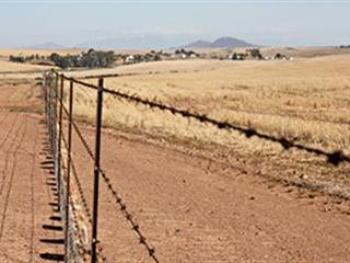 Growing diversity in the Swartland