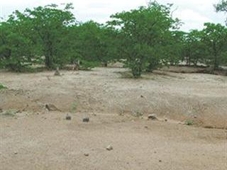 Protect the soil by controlling erosion Protect the soil by controlling erosion