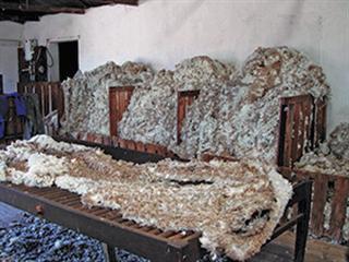 Better shearing Better shearing