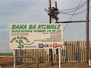 Bana ba Kgwale vegetable project assists community