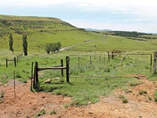 Small-scale to commercial farming