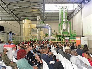 Maize micro mills  stake their claim