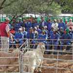 fwa2013321144821.jpg