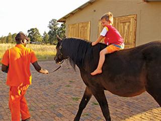 Exercising a horse