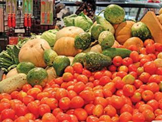Bacterial diseases in tomatoes Bacterial diseases in tomatoes