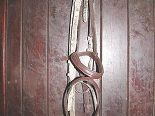 Keeping bridles & saddles clean Keeping bridles & saddles clean