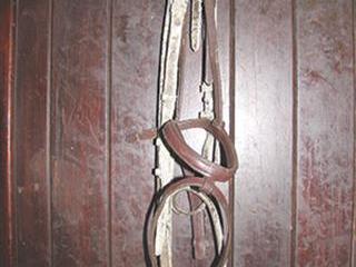 Keeping bridles & saddles clean