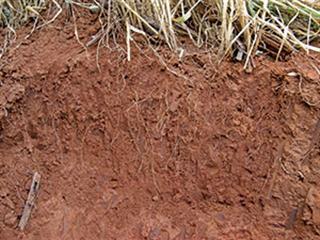 Breath of air in irrigation water restores soil and improves yields Breath of air in irrigation water restores soil and improves yields