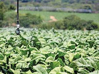 Neighbourly farming in Zimbabwe Neighbourly farming in Zimbabwe