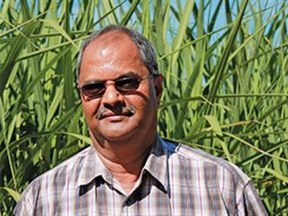 SA Sugarcane grower at helm of global body