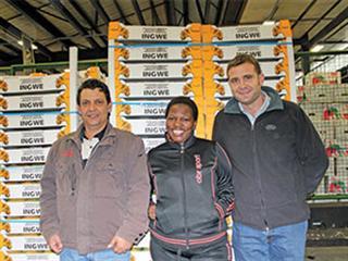 Success for BEE market agent