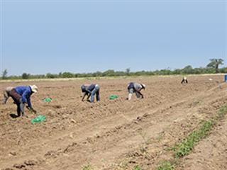 From a security guard to a farmer